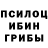 Галлюциногенные грибы прущие грибы #REVAMP2021