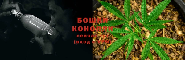 каннабис Богданович