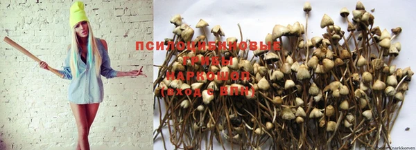 каннабис Богданович