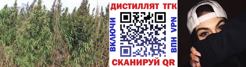 Дистиллят ТГК вейп сайты даркнета наркотические препараты Нарьян-Мар KRAKEN ТОР